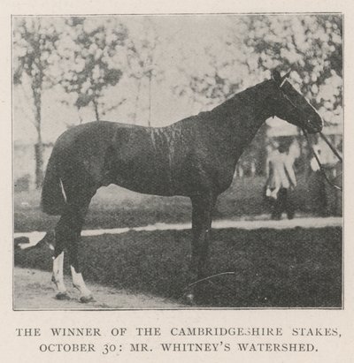 Der Gewinner der Cambridgeshire Stakes, 30. Oktober, Mr. Whitneys Watershed von English Photographer