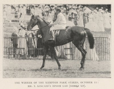 Der Gewinner der Kempton Park Stakes, 11. Oktober, Mr. T. Kincaids Epsom Lad (Gomez im Sattel) von English Photographer