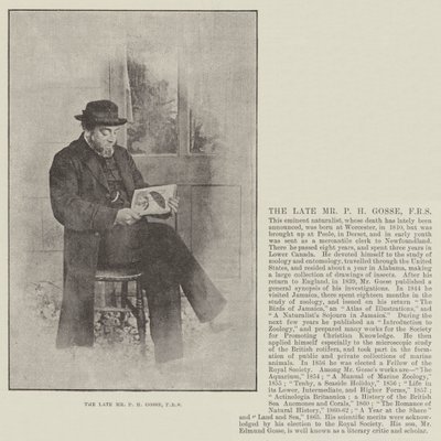 Der verstorbene Mr. P. H. Gosse, FRS von English Photographer
