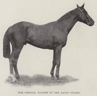Tom Cringle, Gewinner der Ascot Stakes von English Photographer