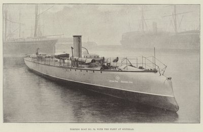Torpedoboot Nr. 79, mit der Flotte in Spithead von English Photographer