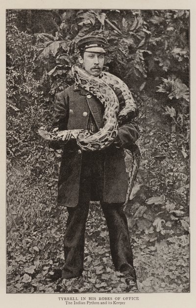 Tyrrell in seinen Amtsroben von English Photographer
