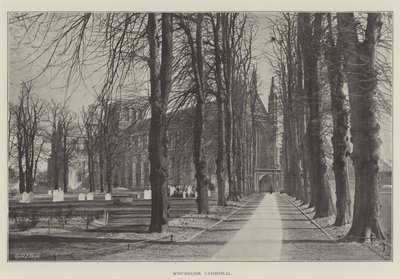 Kathedrale von Winchester von English Photographer