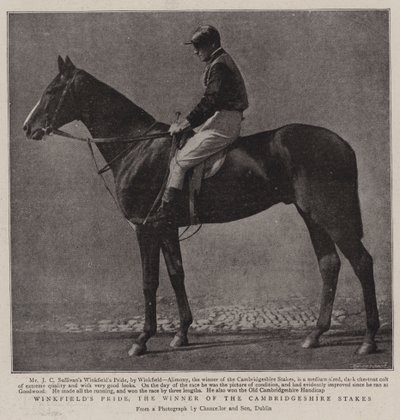Winkfields Pride, der Gewinner der Cambridgeshire Stakes von English Photographer