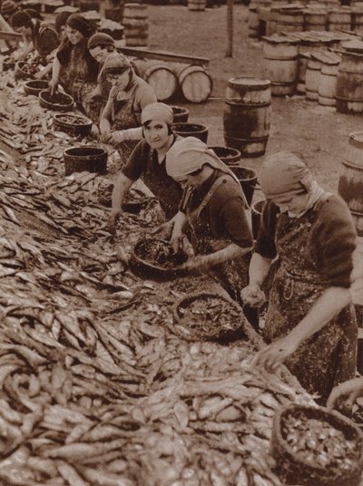 Frauen in Great Yarmouth beim Heringe spalten und reinigen von English Photographer