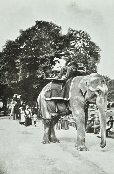 Zoologische Gärten, Regents Park: Elefantenreiten, London, ca. 1895 von English Photographer