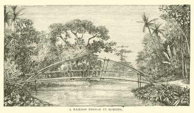 Eine Bambusbrücke in Borneo von English School
