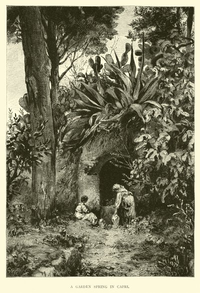 Ein Gartenspringbrunnen in Capri von English School