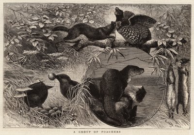 Eine Gruppe von Wilderern (Gravur) von English School