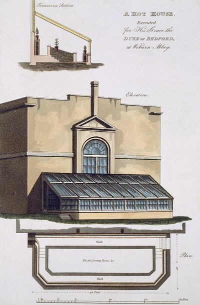 Ein Treibhaus, ausgeführt für seine Gnaden den Herzog von Bedford in Woburn Abbey, 1806 von English School