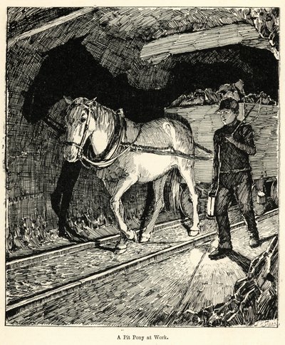 Ein Grubenpony bei der Arbeit (Gravur) von English School