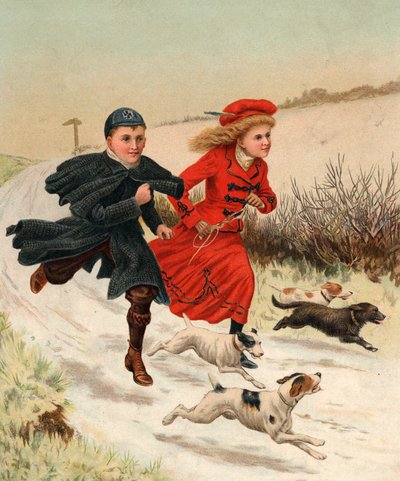 Ein Lauf mit den Hunden von English School