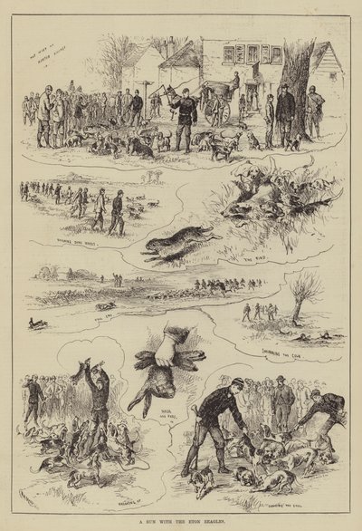 Eine Jagd mit den Eton Beagles (Gravur) von English School