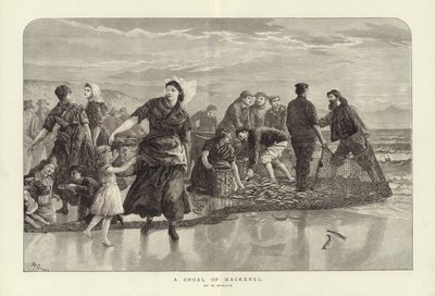Ein Schwarm Makrelen von W. Duncan von English School