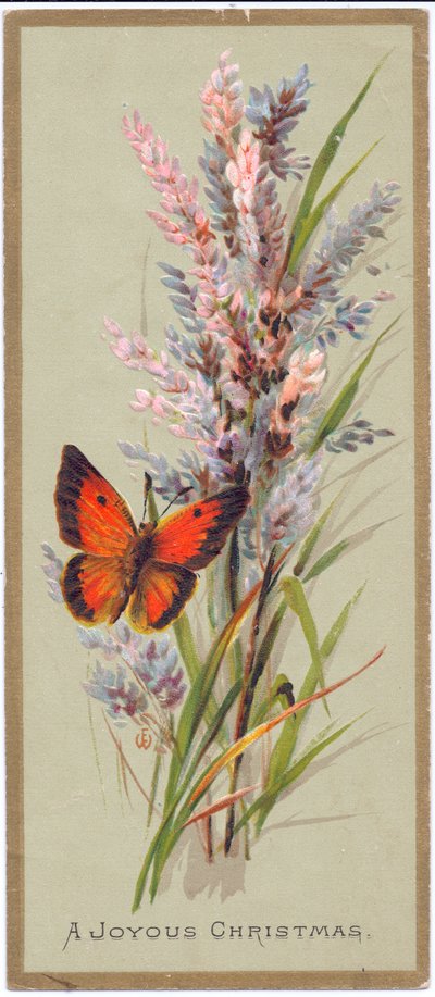Eine viktorianische Weihnachtskarte mit einem Schmetterling zwischen hohen Gräsern, ca. 1880 von English School