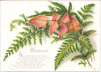 Eine viktorianische Weihnachtskarte mit einem Farnzweig, ca. 1880 von English School