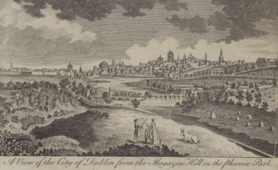 Ein Blick auf die Stadt Dublin vom Magazine Hill im Phoenix Park von English School