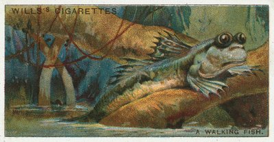 Ein gehender Fisch von English School