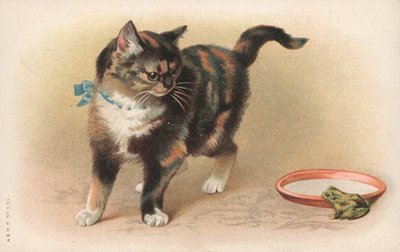 Eine Katze beobachtet einen Frosch von English School