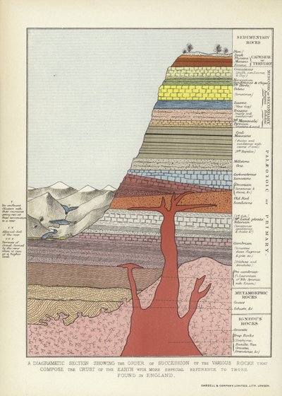 Ein diagrammatischer Schnitt, der die Reihenfolge der verschiedenen Gesteine zeigt, die die Erdkruste bilden, mit besonderem Bezug auf die in England gefundenen von English School