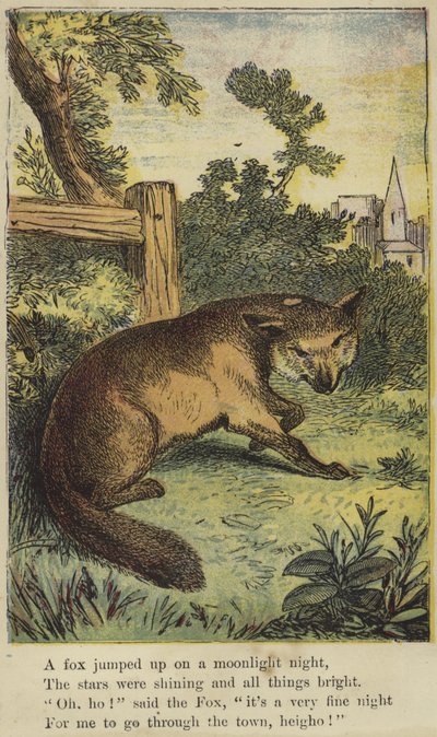 Ein Fuchs sprang in einer Mondscheinnacht auf von English School