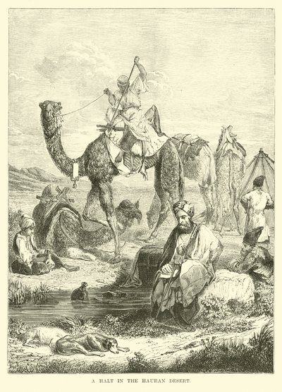 Ein Halt in der Hauran-Wüste von English School