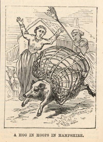 Ein Schwein in Reifen in Hampshire von English School