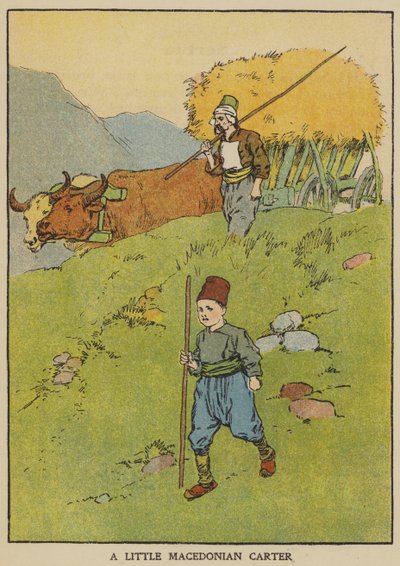 Ein kleiner mazedonischer Fuhrmann von English School