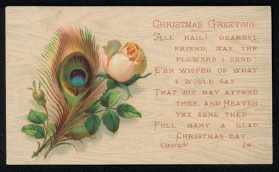 Pfauenfeder und eine Rose, Weihnachtsgrußkarte von English School