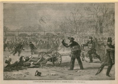 Eine Rettung auf der Serpentine durch die Männer der Royal Humane Society von English School