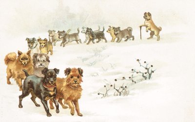 Ein Zug von Hunden im Schnee von English School