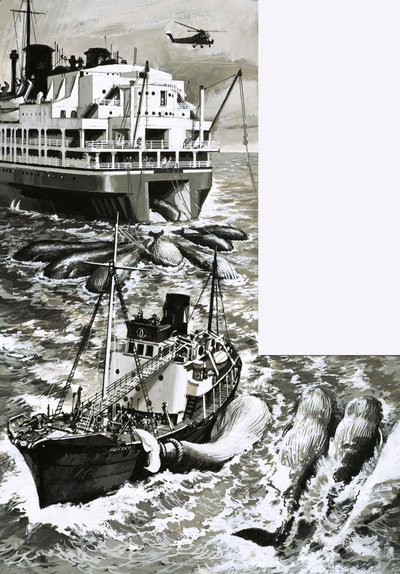Ein Walfang-Fabrikschiff von English School