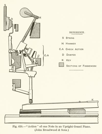 Mechanismus einer Note in einem aufrechten Flügel, John Broadwood and Sons von English School