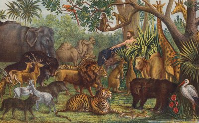 Adam benennt die Tiere von English School