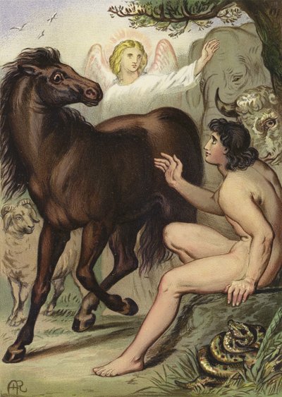 Adam benennt die Tiere von English School