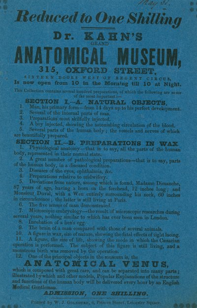 Anzeige für Dr. Khans Grant Anatomisches Museum von English School