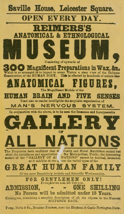 Werbung für Reimerss Anatomisches und Ethnologisches Museum von English School