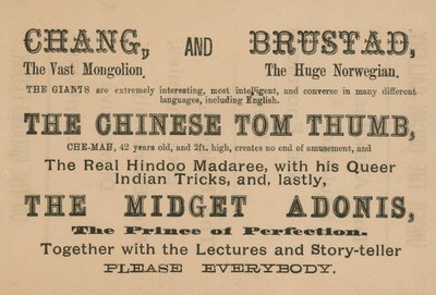 Werbung für Auftritte von Chang, Brustad, The Chinese Tom Thumb und The Midget Adonis von English School