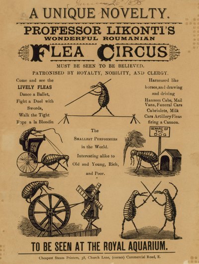 Werbung für Professor Likontis Wunderbaren Rumänischen Flohzirkus von English School