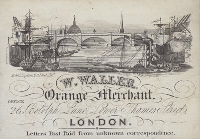 Werbung für W Waller, Orangenhändler, London von English School
