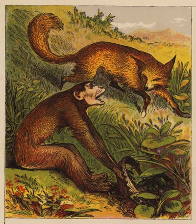 Äsops Fabeln: Der Fuchs und der Affe von English School
