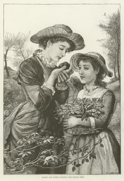 Agnes und Ethel finden den kleinen Vogel von English School