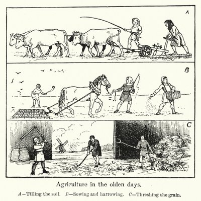 Landwirtschaft in alten Zeiten von English School