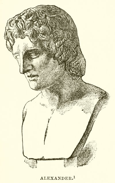 Alexander von English School