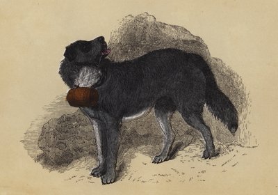 Alpenmastiff von English School