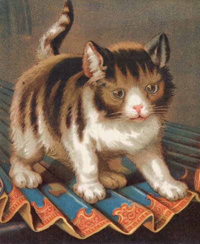 Eine ehrgeizige Katze von English School
