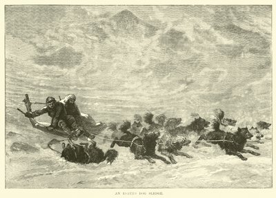 Ein Eskimo-Hundeschlitten von English School