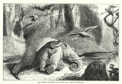 Ein indischer Dschungel, Alligator und toter Elefant (Gravur) von English School