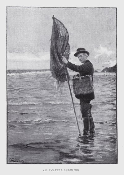 Ein Amateur-Garnelenfischer (Lithographie) von English School