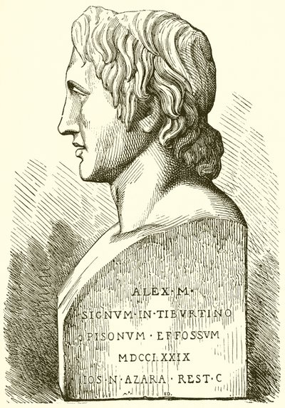 Antike Büste von Alexander dem Großen von English School